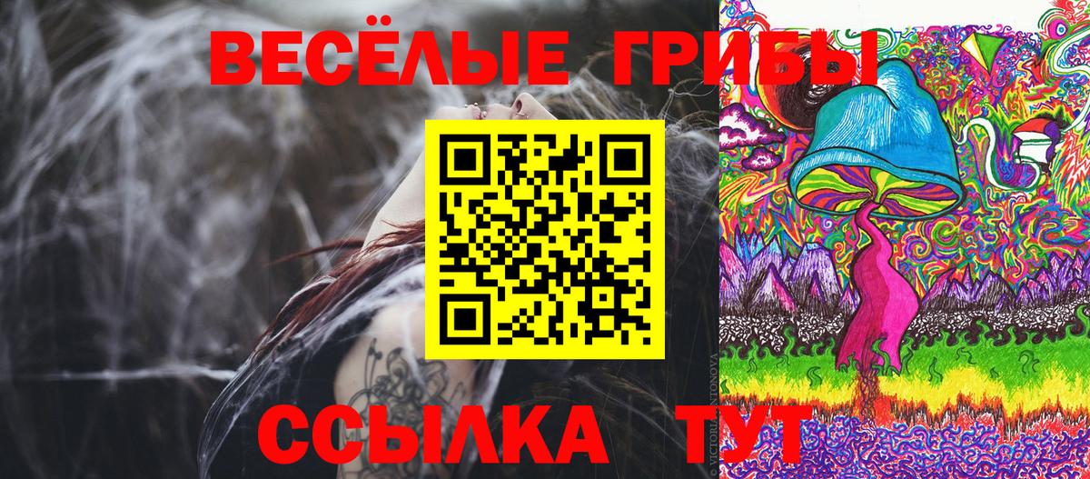 Галлюциногенные грибы GOLDEN TEACHER  Вход с VPN  Кольчугино  Псилоцибиновые грибы Cubensis 